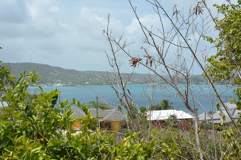 Paradise Properties - Ap  Proctor Point Turtle Bay