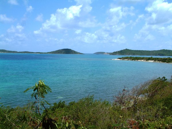 Paradise Properties - Wickham Browne's Estate
