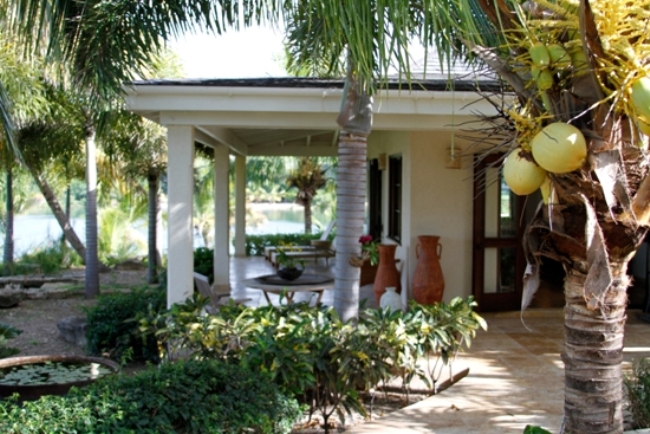 Paradise Properties - The Palm Estate At Brown's Bay