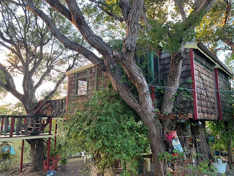 Paradise Properties - Lathefield Treehouse