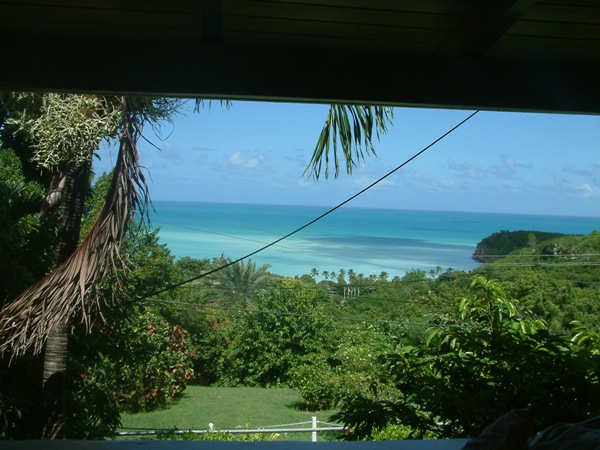 Paradise Properties - Halcyon Heights Villa 17