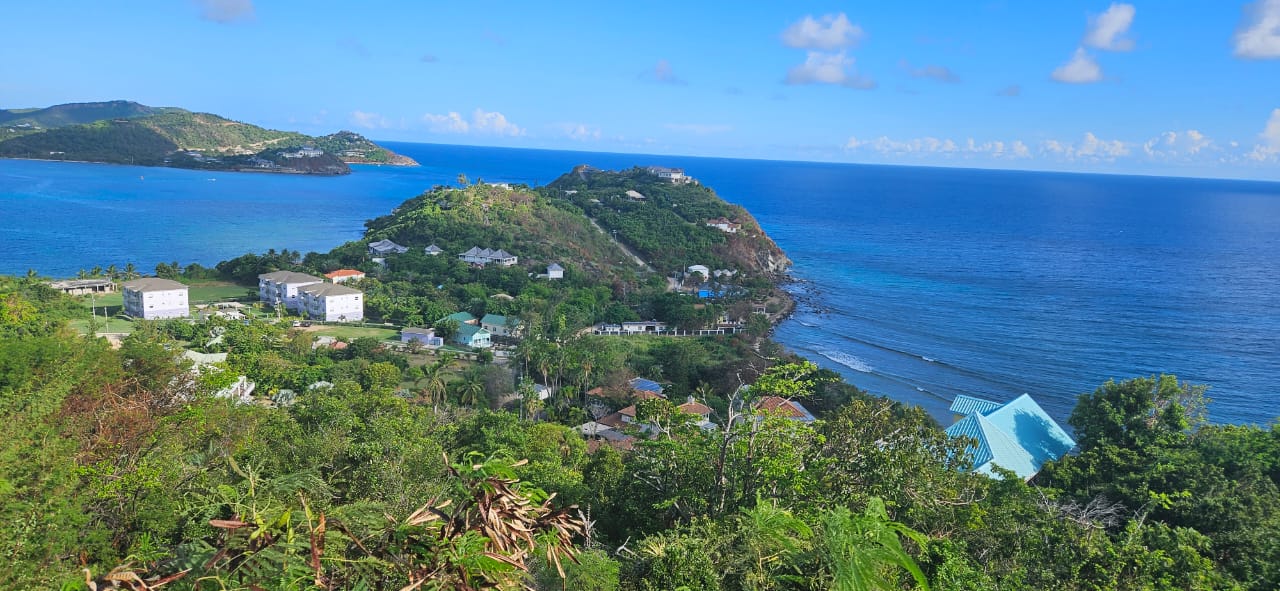 Paradise Properties - Turtle Nest Cottages