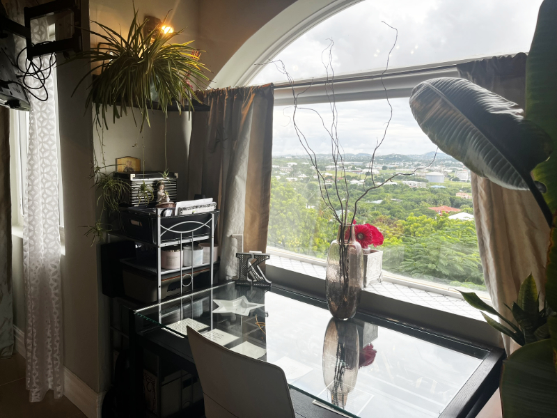 Paradise Properties - Flamboyant Luxury Haven