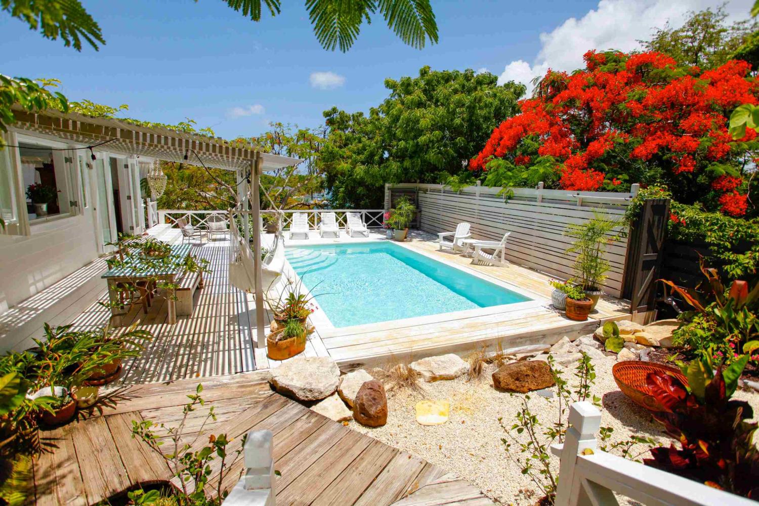 Paradise Properties - Tiger Lily